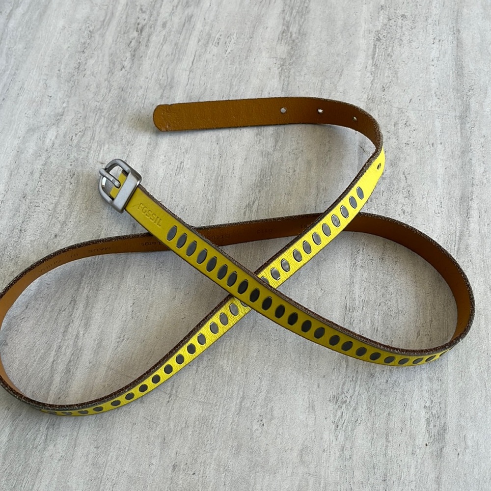 Fossil Belt